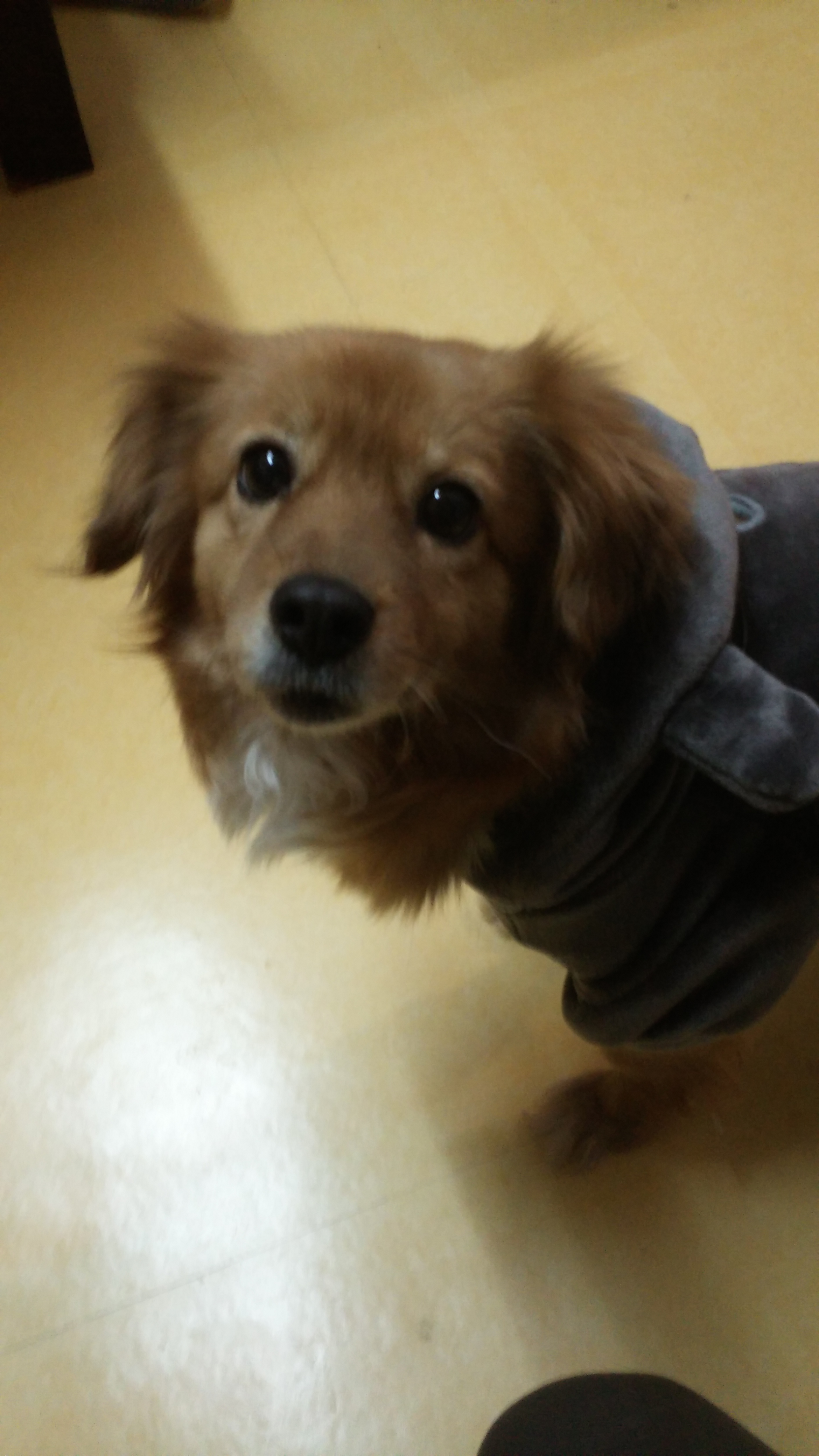 시흥이 최근 근황입니다.