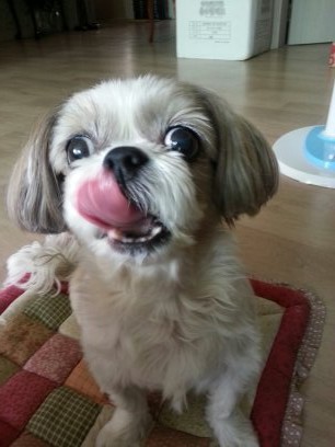 더 어려진 초롱