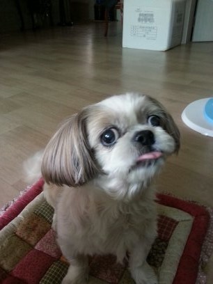 더 어려진 초롱