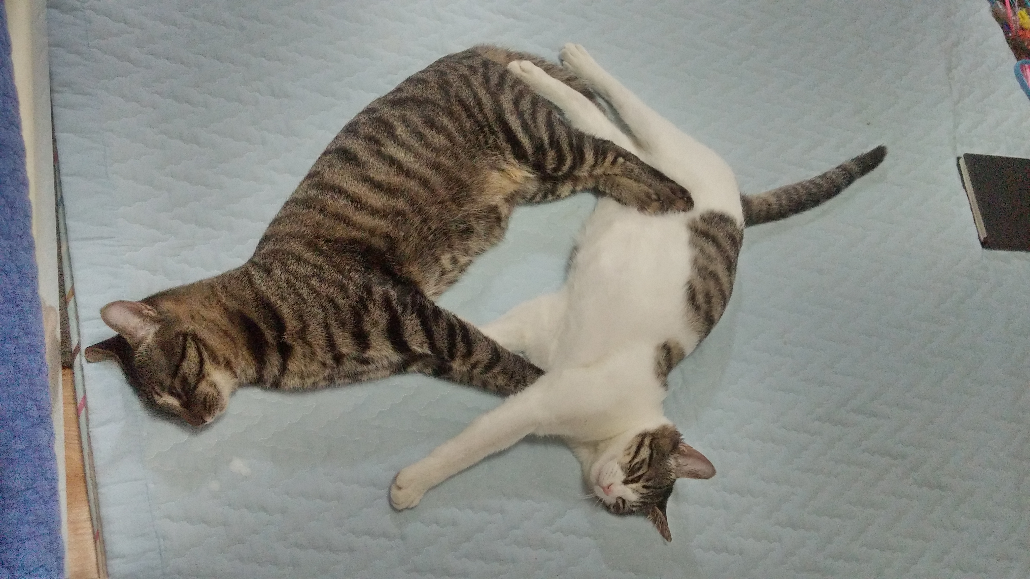 헤이~뚜뚜~포에버!!^^