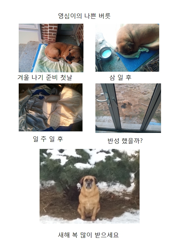 영심이 소식