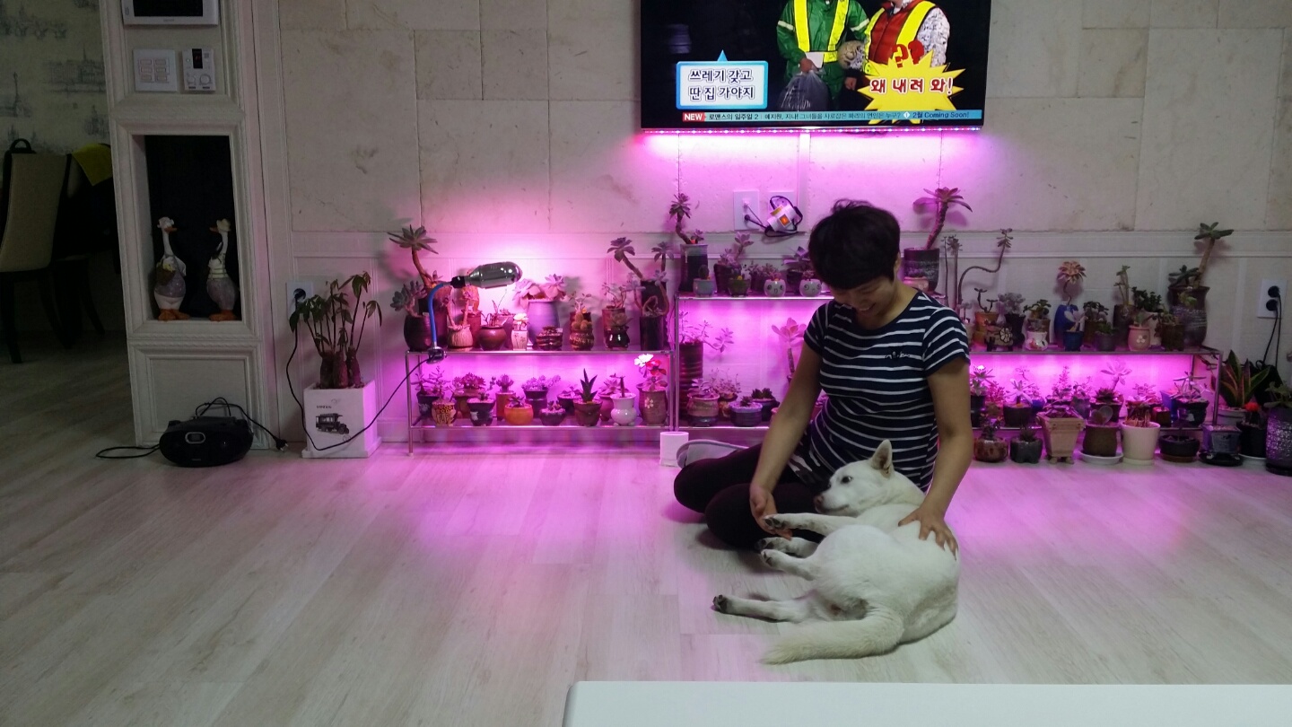 리나가 가족이된지 한달하고 일주일이에요..
