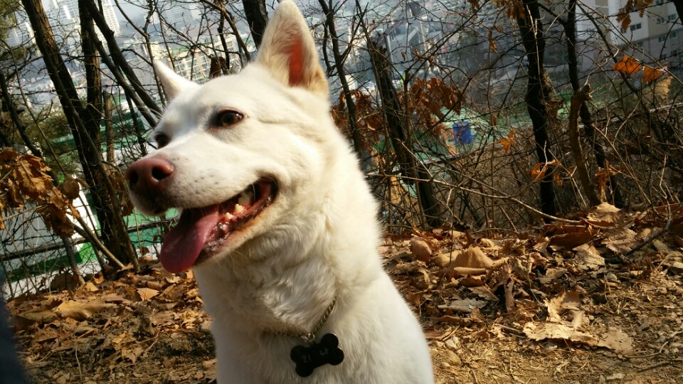 리나가 가족이된지 한달하고 일주일이에요..
