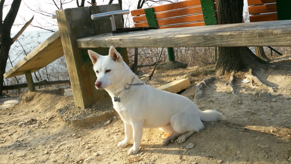 리나가 가족이된지 한달하고 일주일이에요..