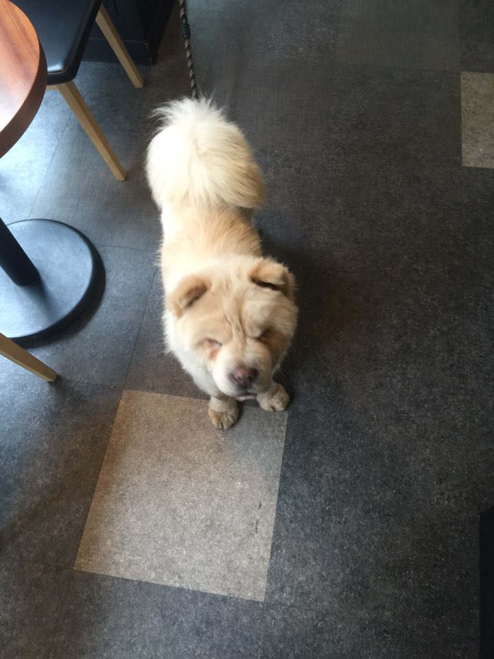 호두~
