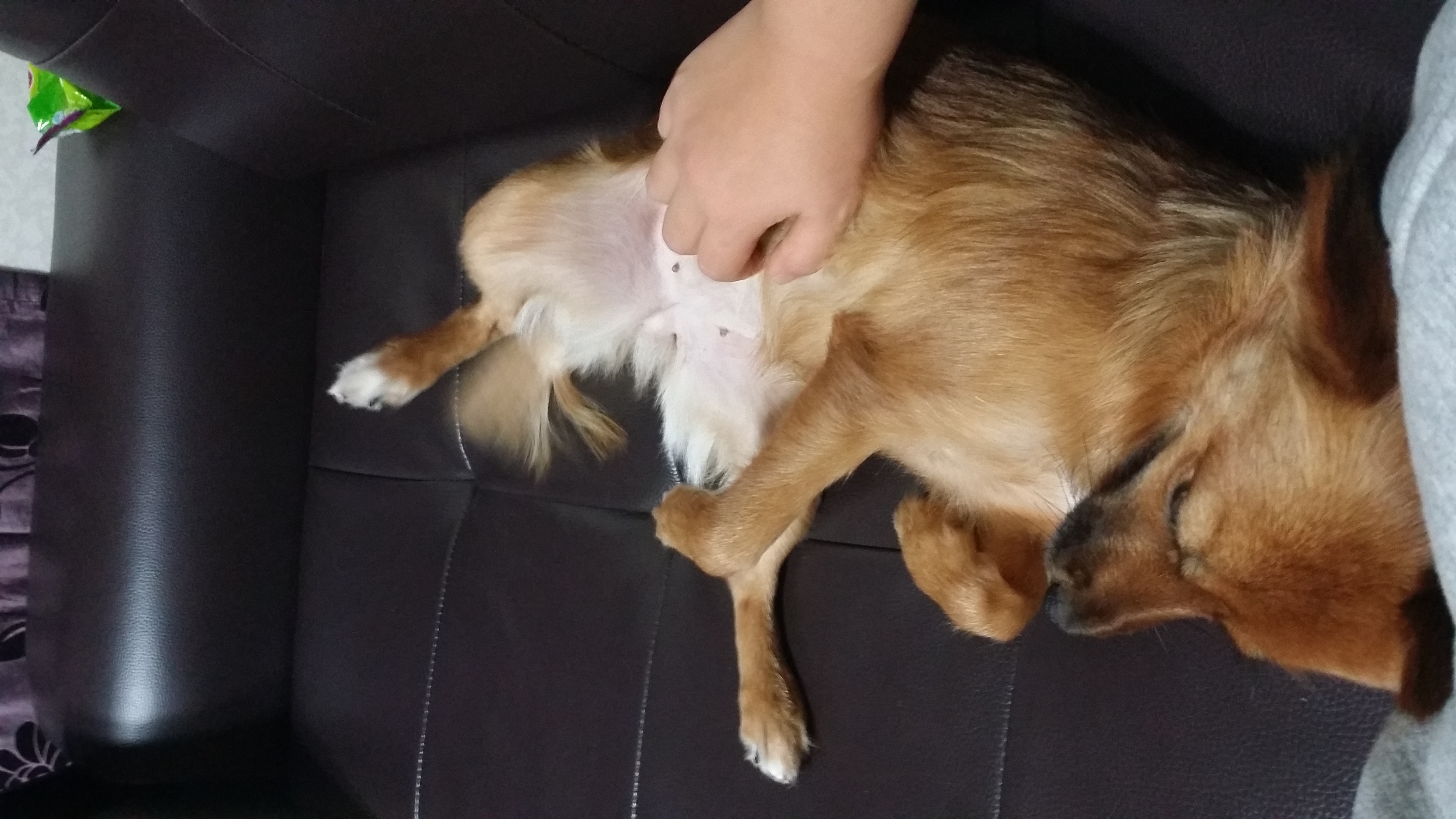 오랜만에 치노 소식 올립니다^^