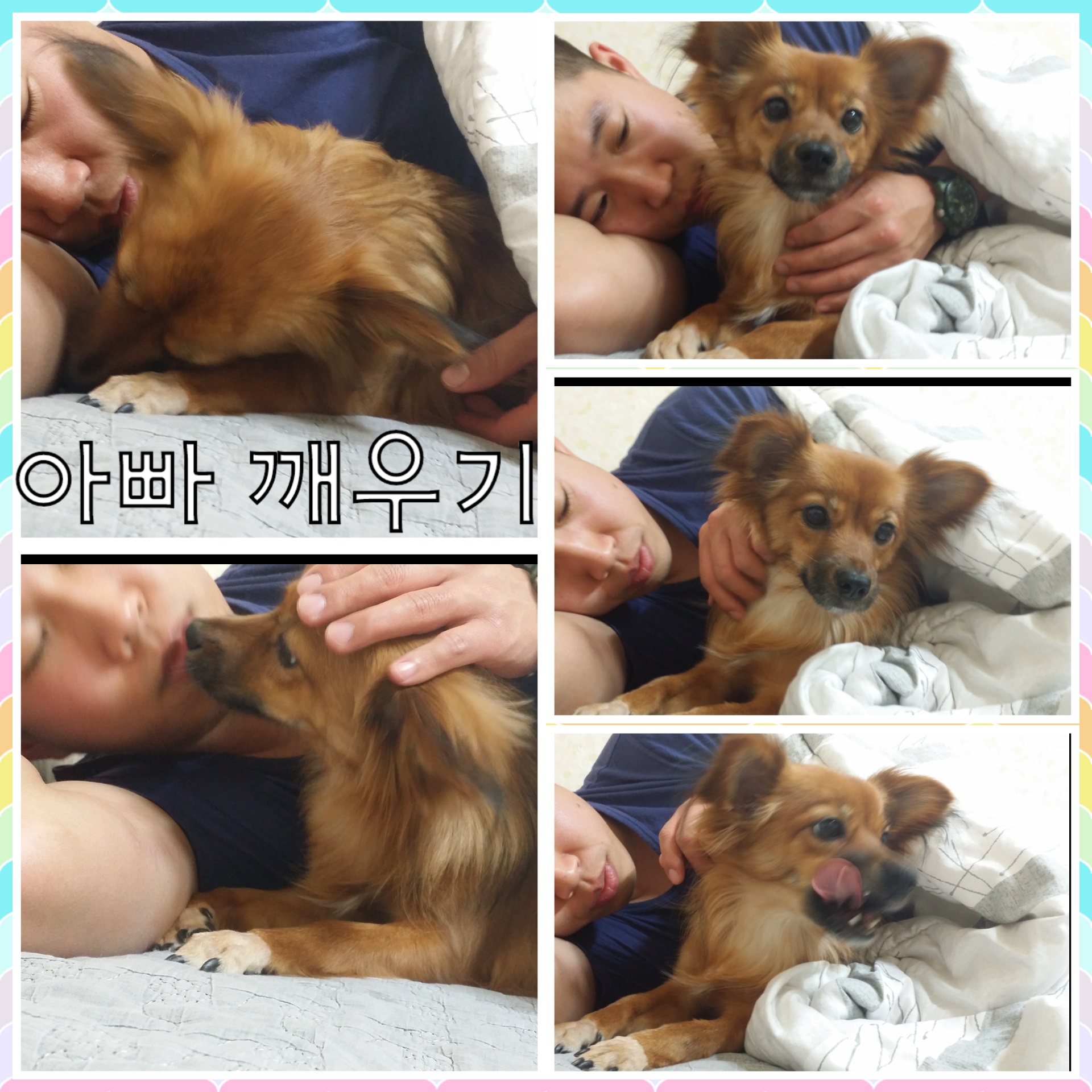오랜만에 치노 소식 올립니다^^