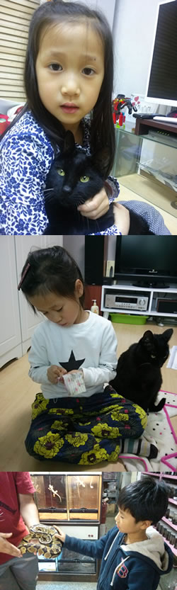 이야후