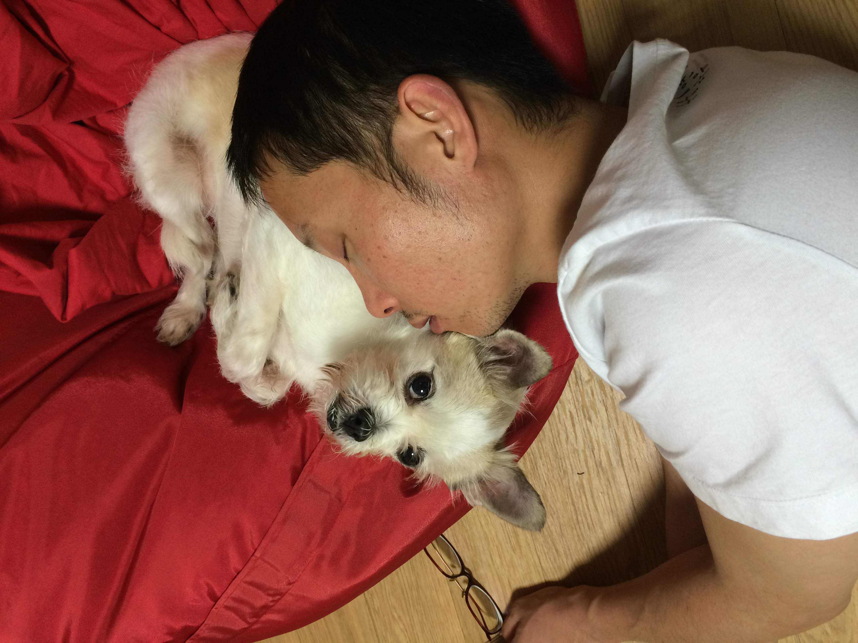 오랜만에 하랑이 사진 올려요~1