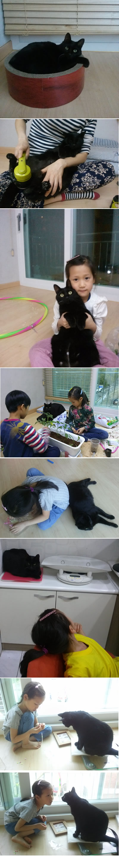 야후네입니다~