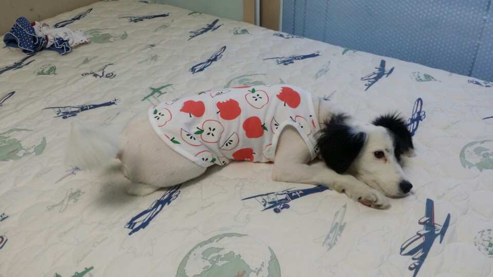 두렁~두렁~ 두렁이 3번째 후기요^^