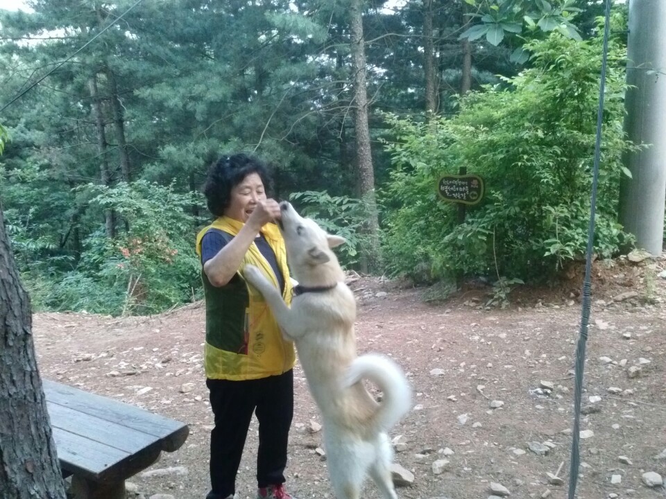 뽀송이 입양 3개월 사진