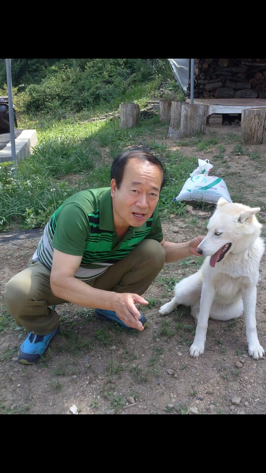 뽀송이 입양 3개월 사진