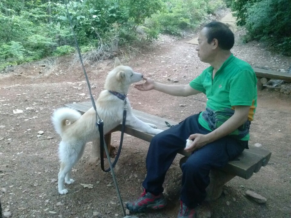 뽀송이 입양 3개월 사진
