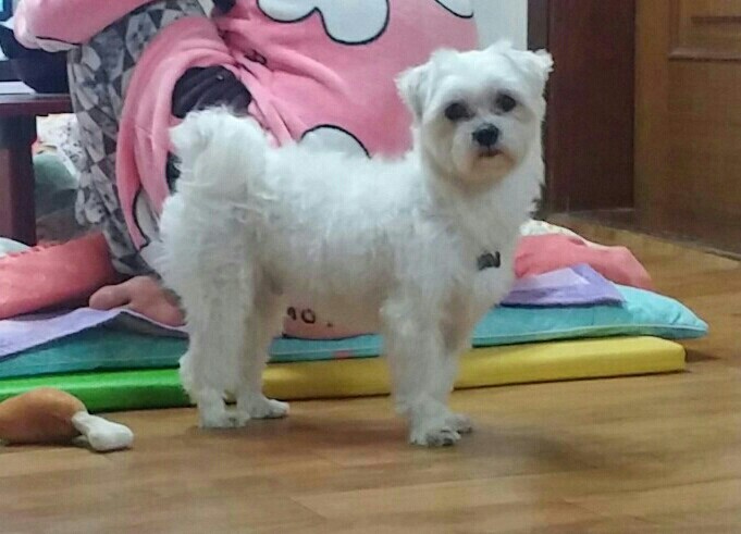 풍세랑~회룡(영광)이랑~