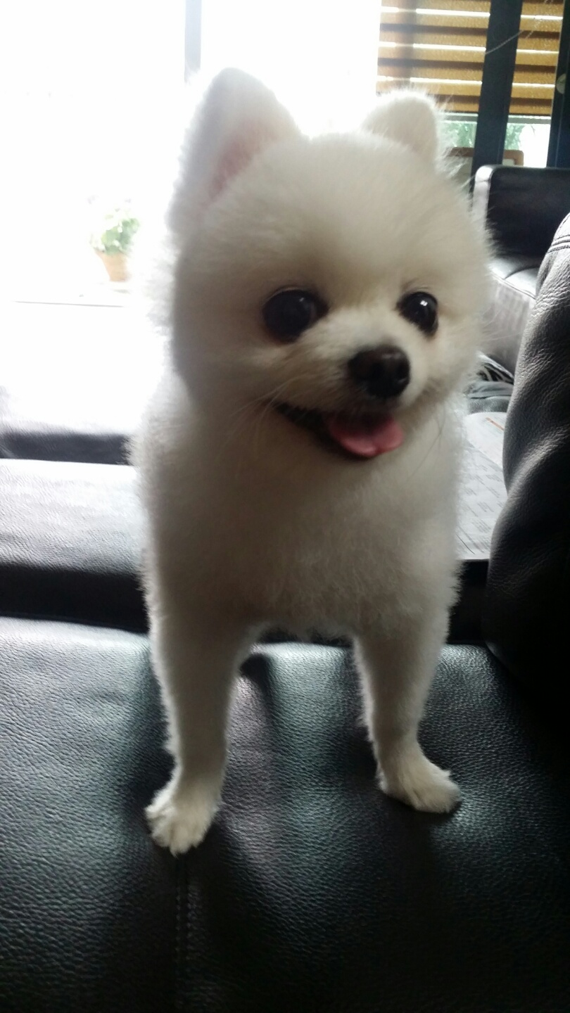 애교쟁이 울 사랑이^^*