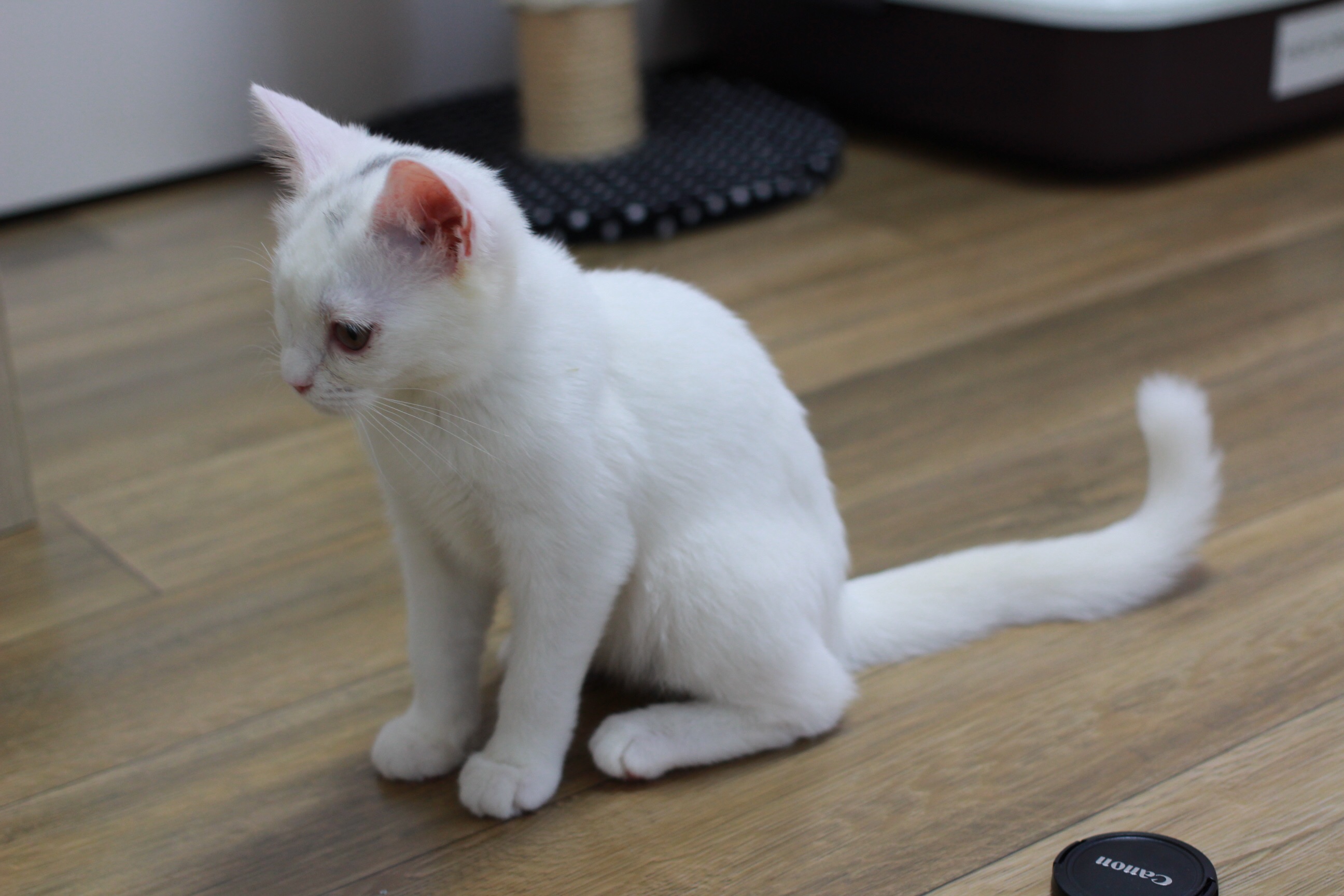 설이 첫후기 올려욤 :-)