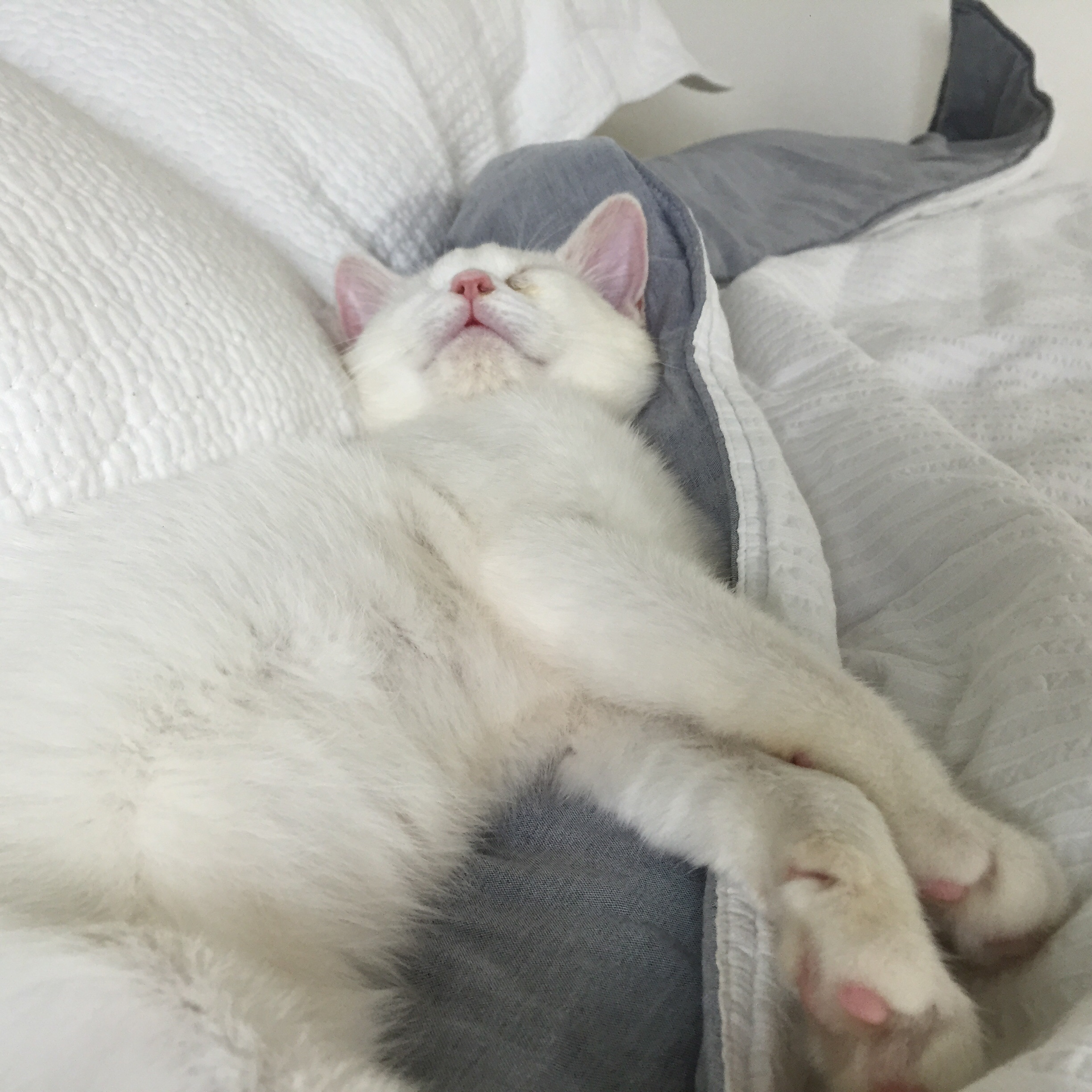 설이 첫후기 올려욤 :-)
