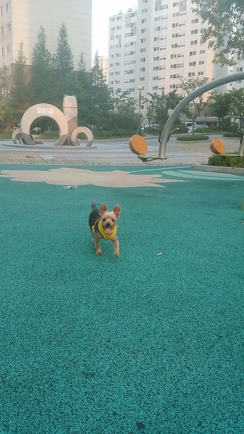 토토의하루