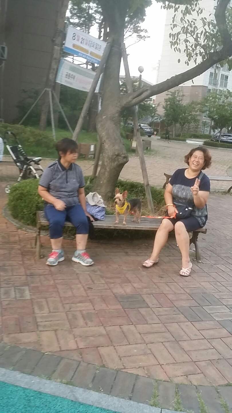 토토의하루