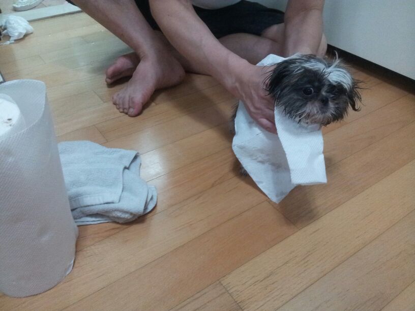몽글이 잘 지내고 있어요~~