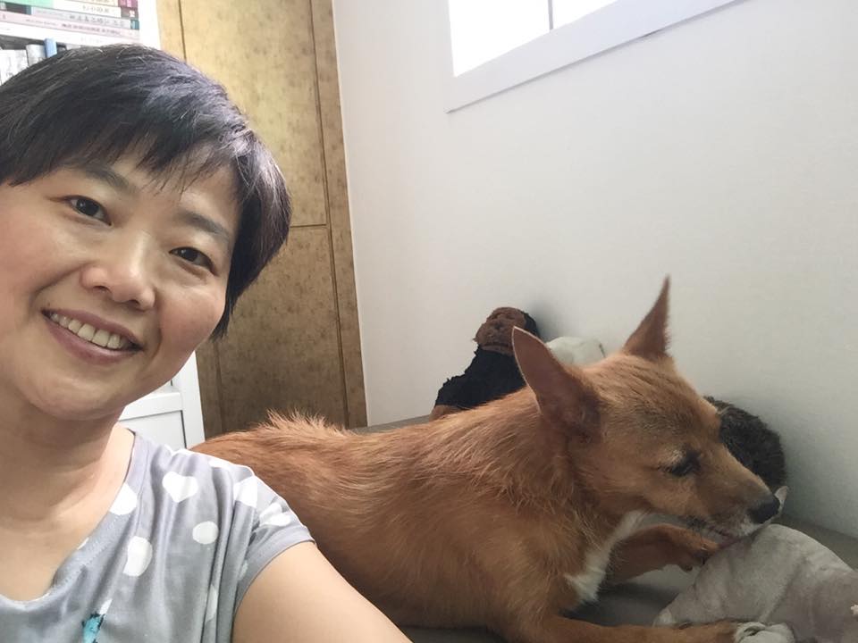 태양이, 담비 근황 2