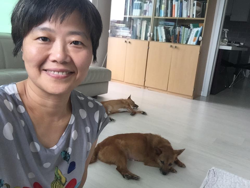 태양이, 담비 근황 2