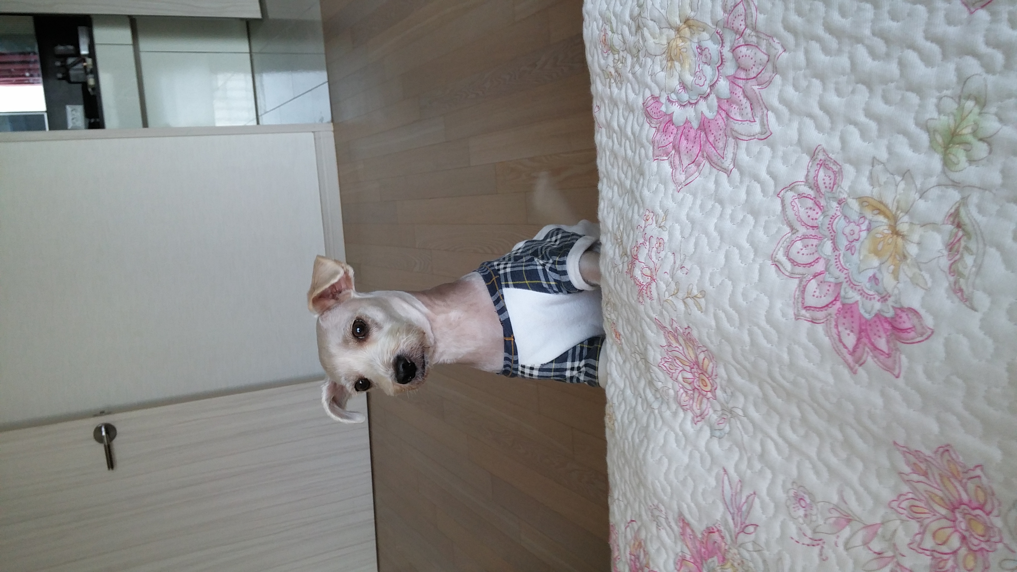 오랫만에 쓰는 만수후기!!!