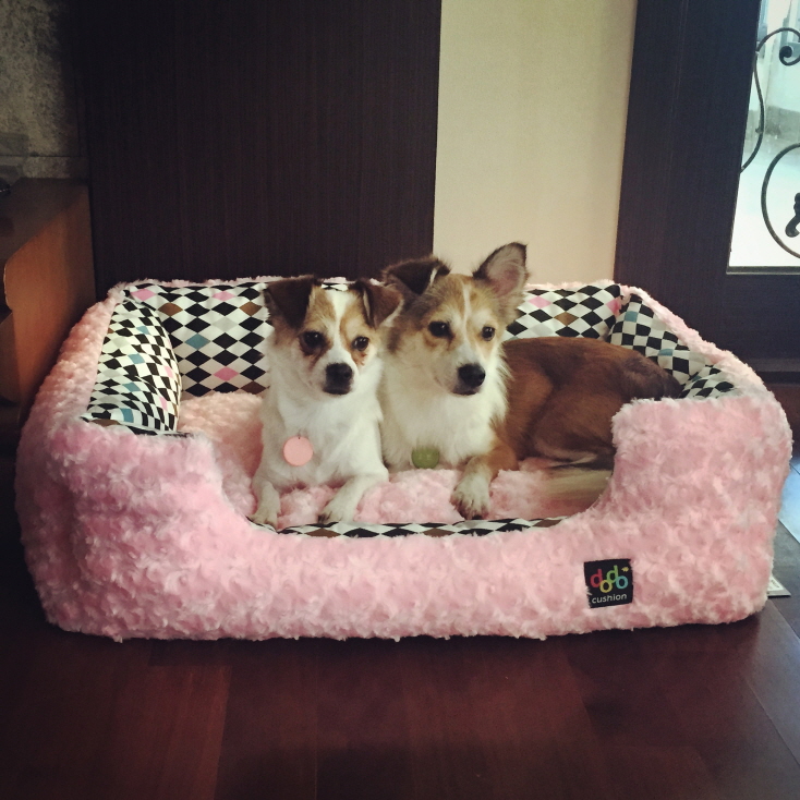 루시&로빈이의 멋진 하루하루_첫번째