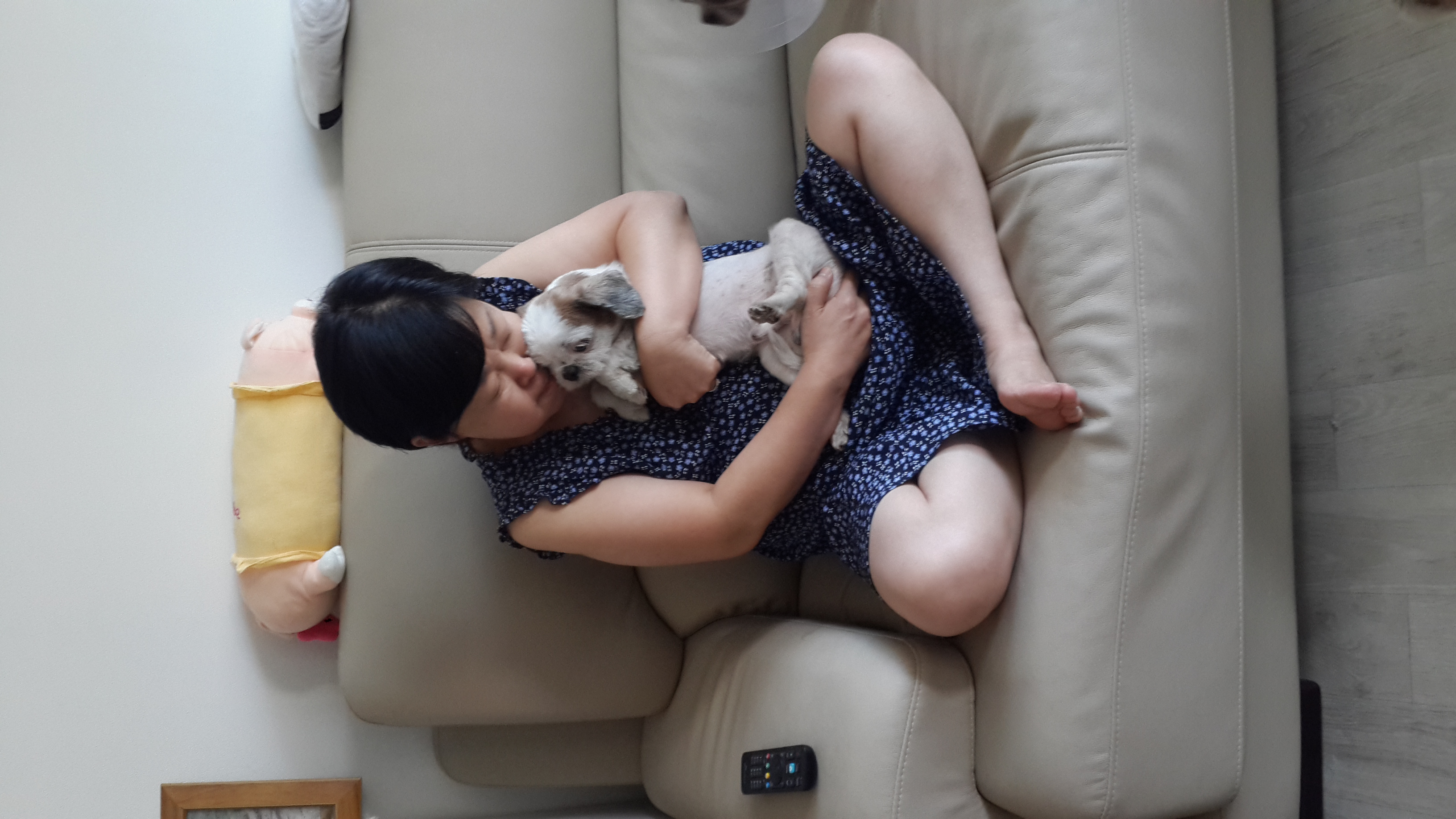 사이먼 입양 1주일 후기입니다.~~~