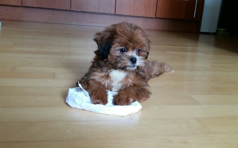 초미 두번째후기에요 *^^*