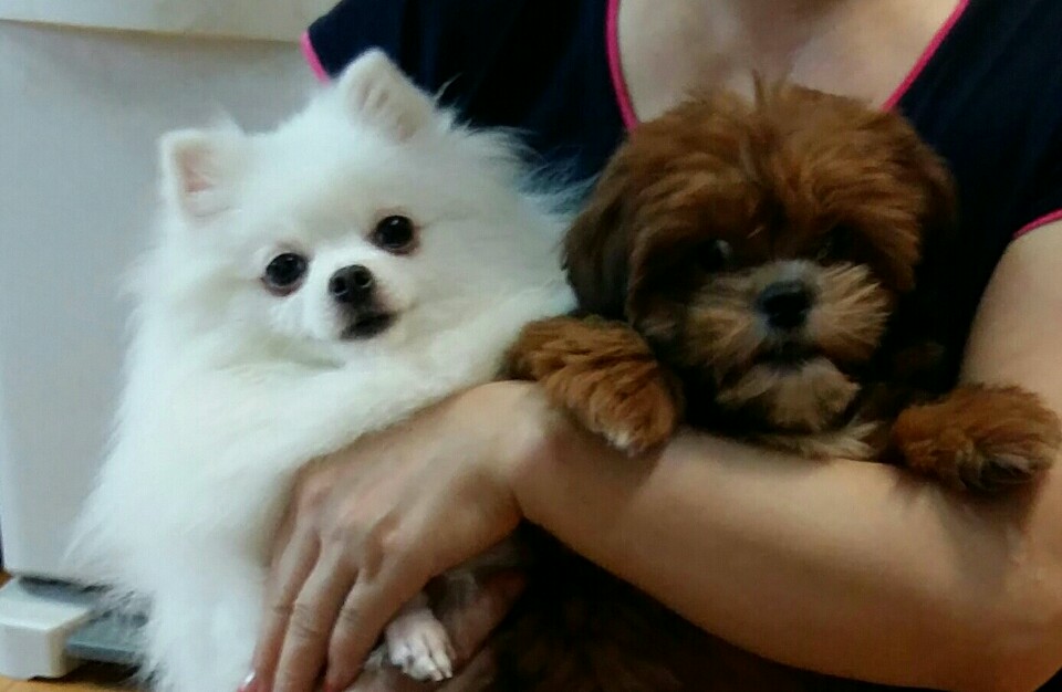 초미 두번째후기에요 *^^*