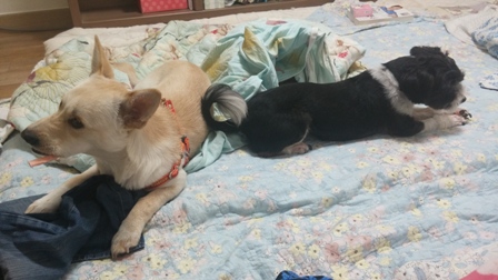 청아와의 한 달여의 날들...