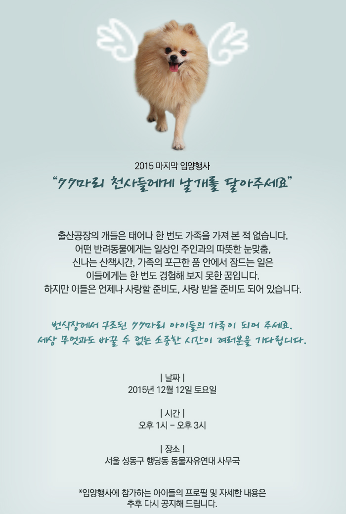 <출산공장의 개들>77마리 천사들에게 날개를 달아 주세요. 