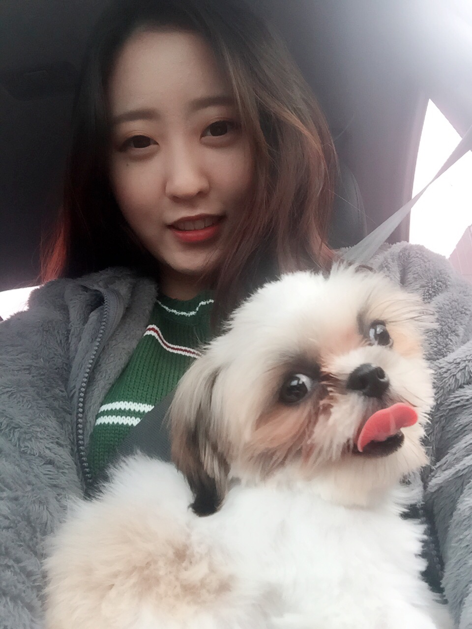 초코(샹디) 3개월째 입양후기