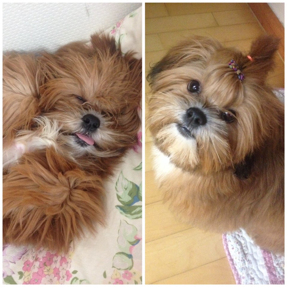 초미 3번째후기에요 ~*