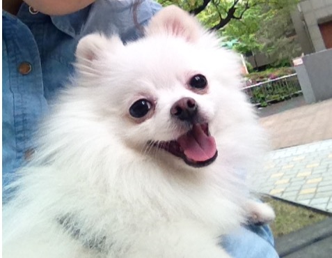 초미 3번째후기에요 ~*
