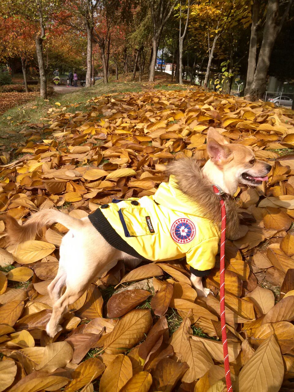 공주 근황입니다^^