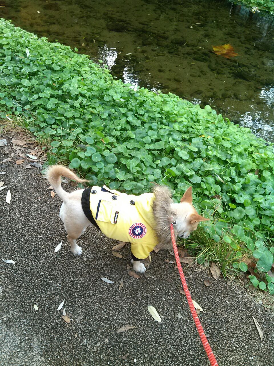 공주 근황입니다^^