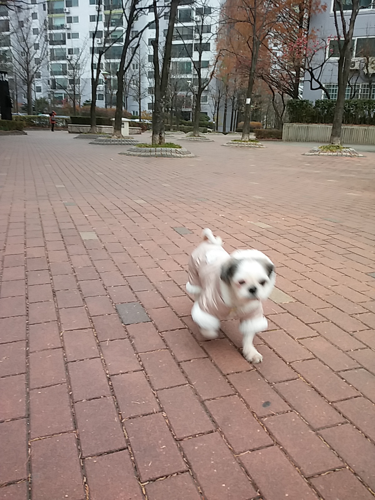 참이 첫번째 입양후기입니다.
