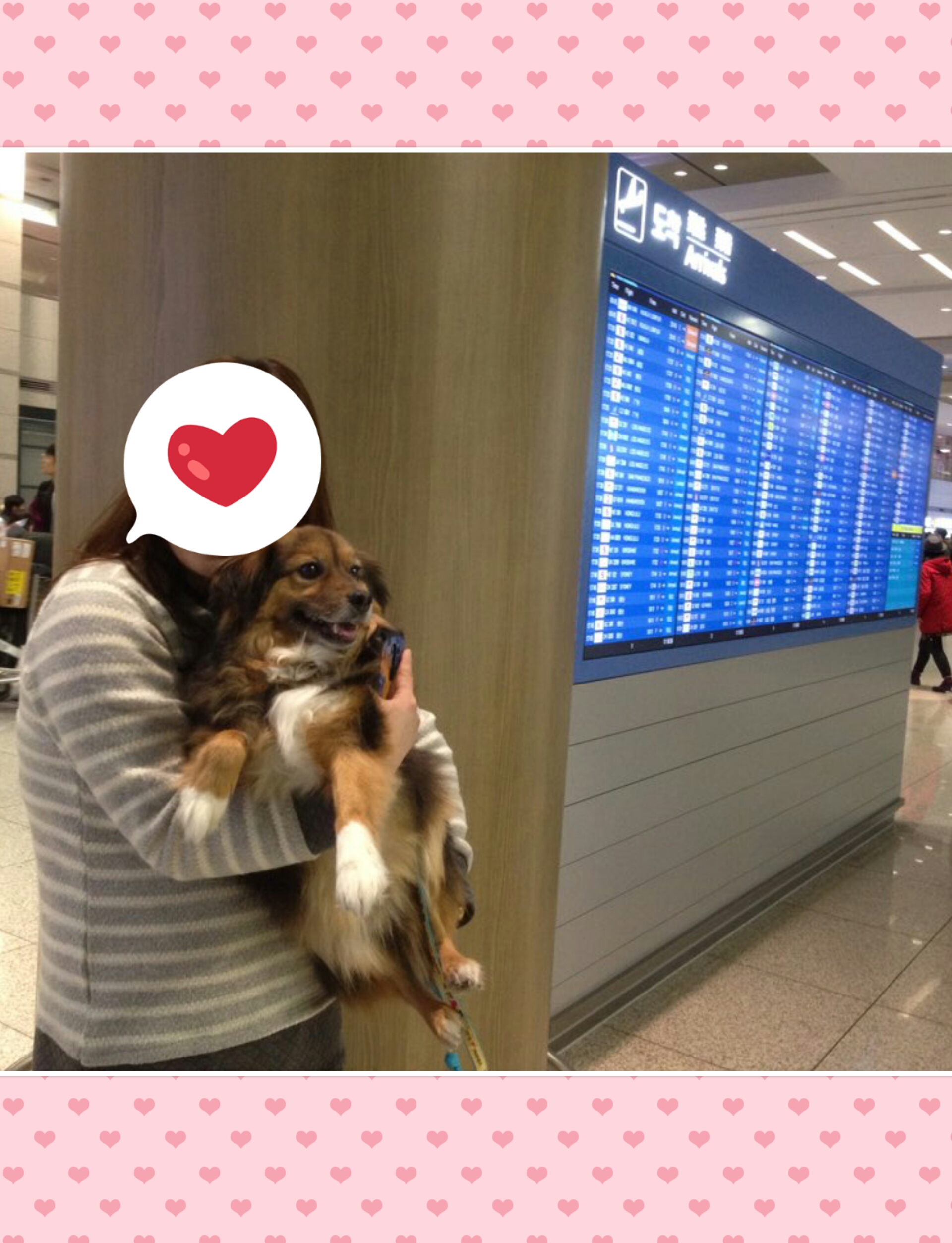 정왕이의 첫 나들이~♥