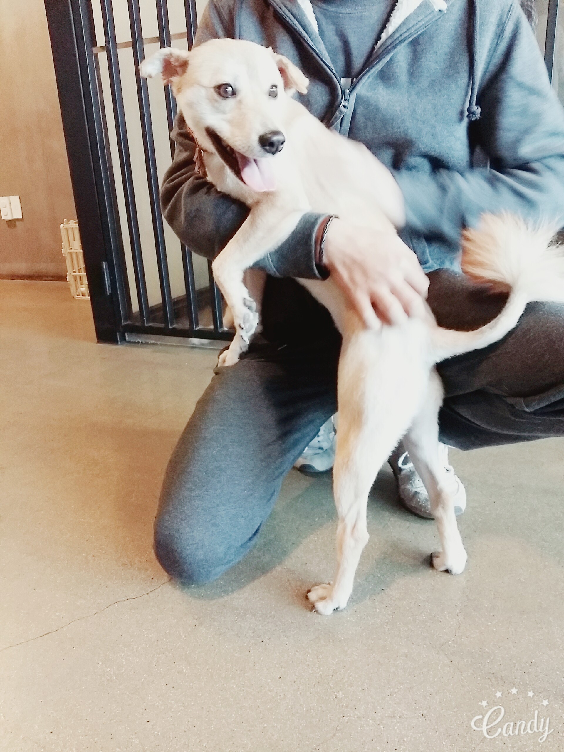 금비 입양 한달째