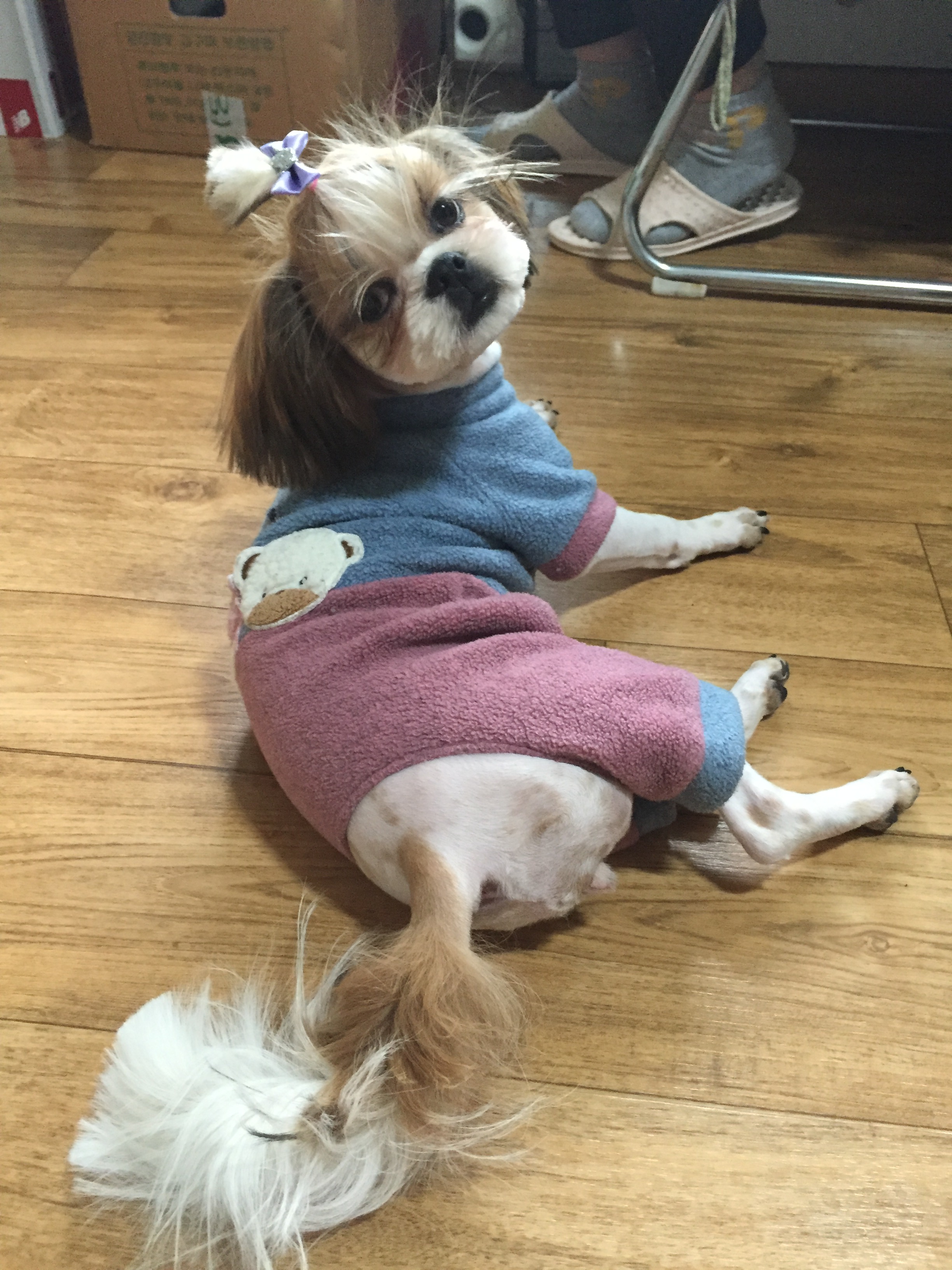 나미네 집입니다~