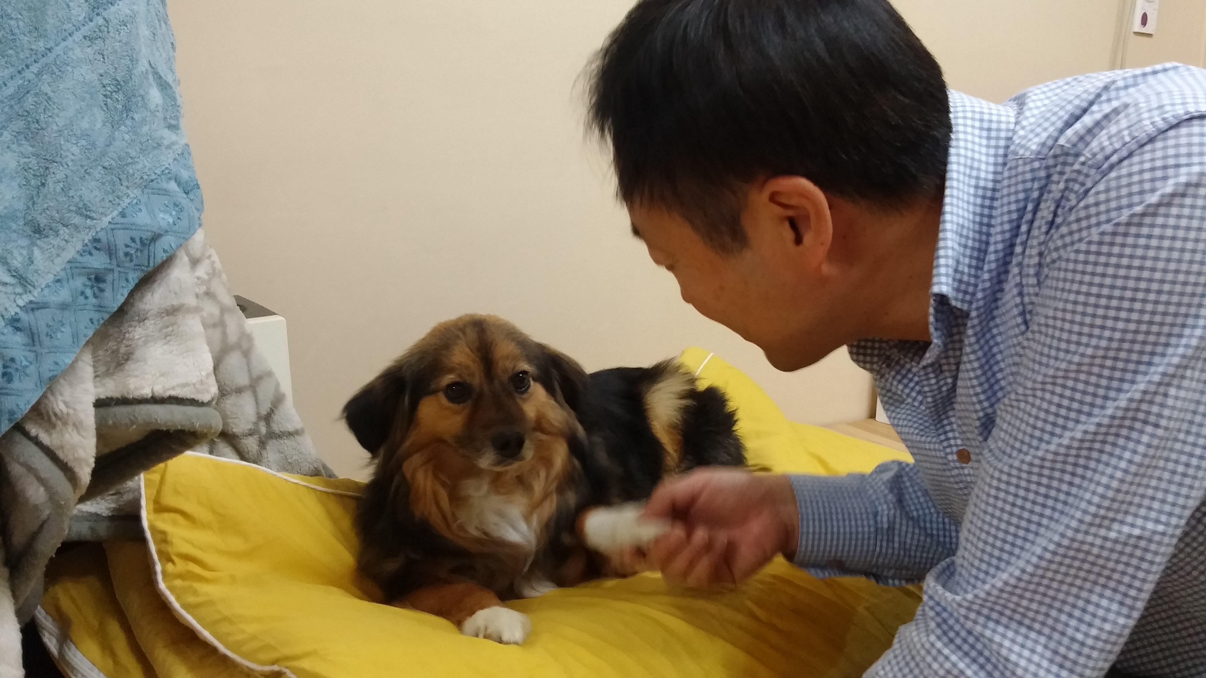 정왕이네 가족