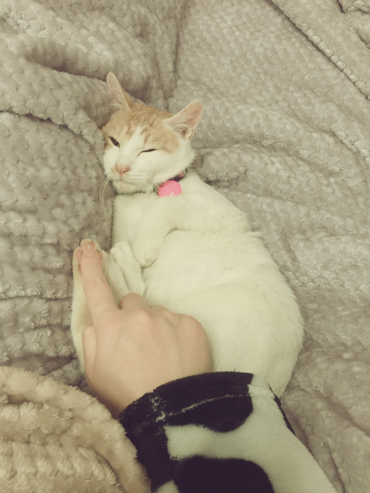 로나와의 시작! 첫 후기!
