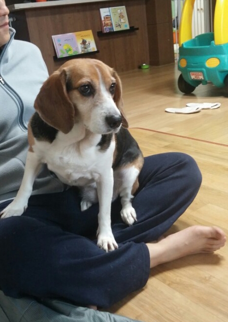 미키가 노는 방법...