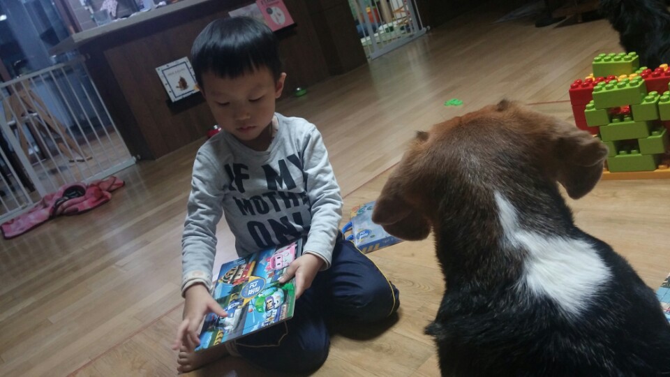 미키가 노는 방법...