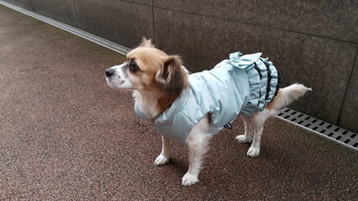 드라이빙킷 감사합니다^^