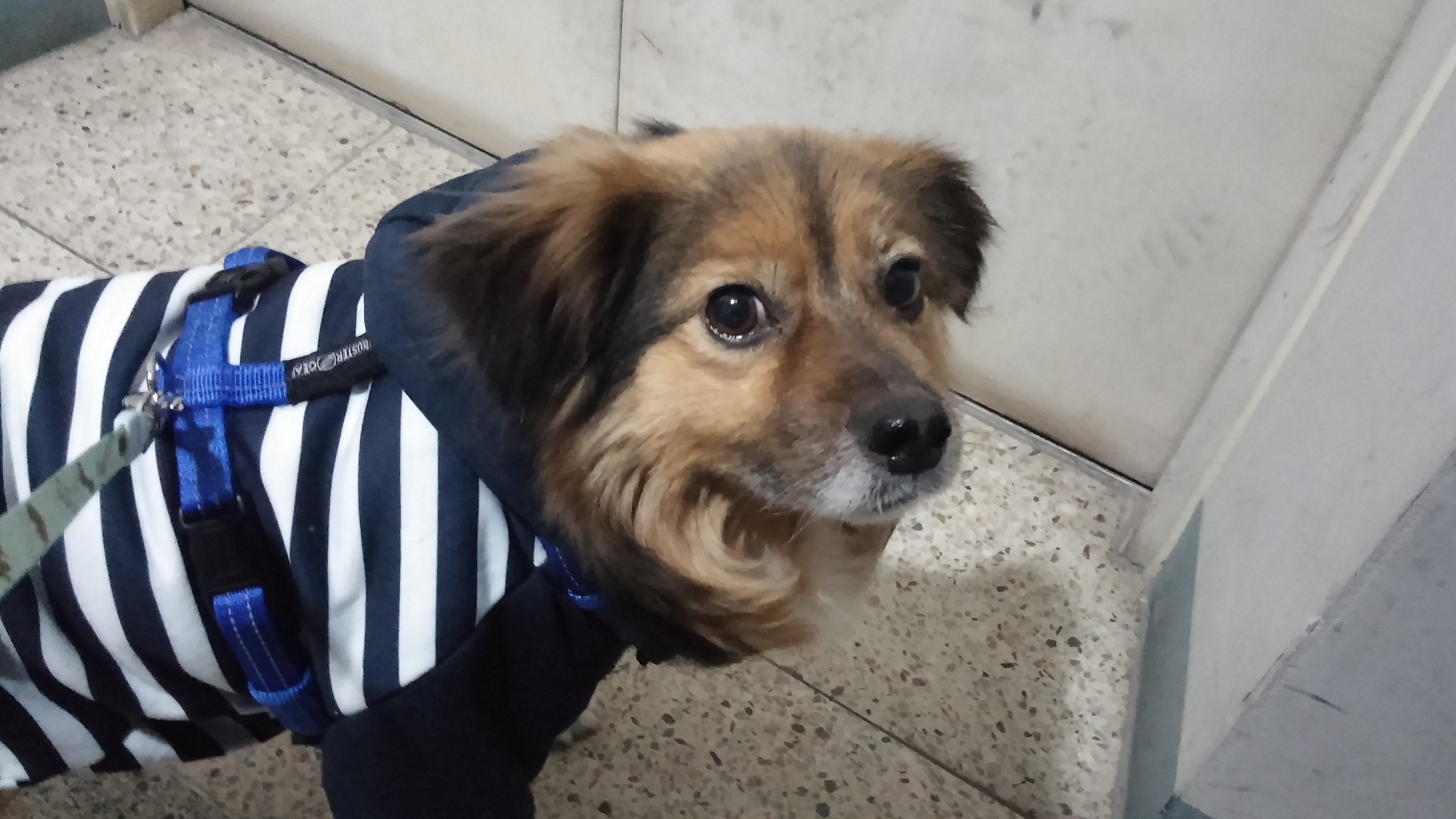 정왕이는 따뜻해요♥