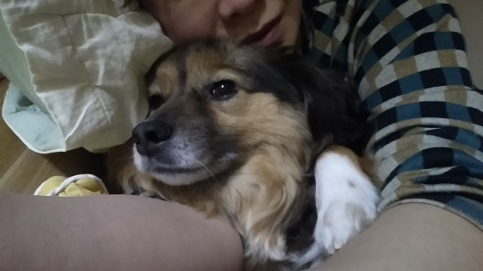 정왕이 사진 찾아요!